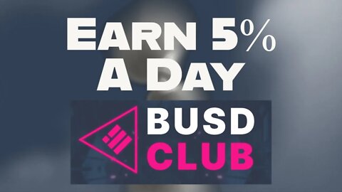 BUSD Club Earn 5% a day and Anti Whale System