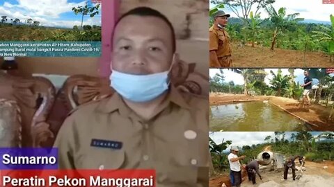 Pekon Manggarai Air Hitam Lampung Barat mulai bangkit Pasca Pandemi Covid-19 Era New Normal