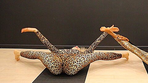 Yoga Art — Stretching Art Flexibility Flow