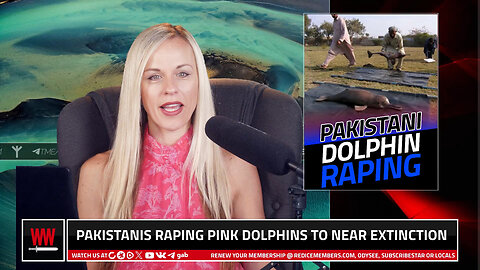 Pakistanis Raping Pink Dolphins To Near Extinction