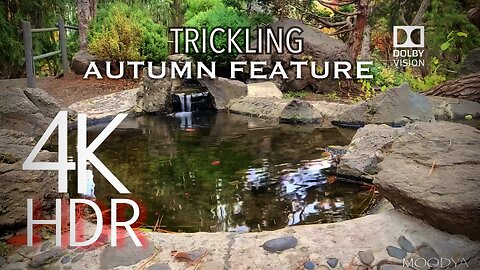 4K HDR Nature Video in Dolby Vision - Autumn Sanctuary Wishing Pond - A Place To Rest