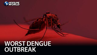 More than 1,000 people dead from Bangladesh's worst dengue outbreak