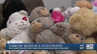 Hundreds of teddy bears destined for New Orleans children