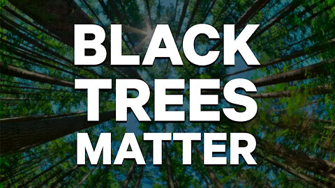 Black Trees Matter | Dumbest Bill in America