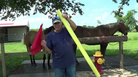 Sacking Out Horses On Whips, Rake & Plastic Bags - Discussing Mustang Rescue - Mr. T's Grave Marker