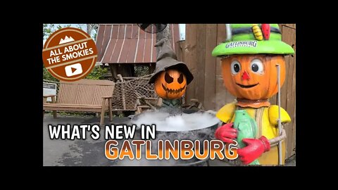 What's New in Gatlinburg? Fall Decor and More (Anakeesta)