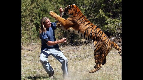 Why Tiger Attacks on Humans