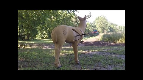 Archery Practice, Ground Blind Set-Up, & LUCKY BUCK!