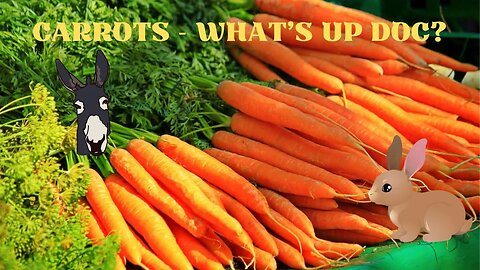 Carrots - What's Up Doc?