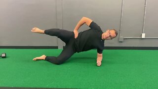 Active modified side plank w/ top leg raised