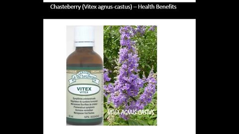 Chasteberry - Vitex agnus castus - Hormonal & Dopamine Benefits