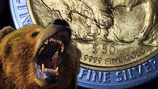 BEAR MARKET COMING! What It Means For Gold & Silver