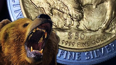 BEAR MARKET COMING! What It Means For Gold & Silver