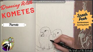 Watch me draw a stunning parrot scene from my upcoming coloring book!