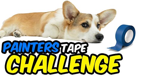 You Need To See This 6 Month Old Corgi Puppy Jump During The Painter's Tape Challenge