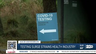 COVID testing surge strains health industry