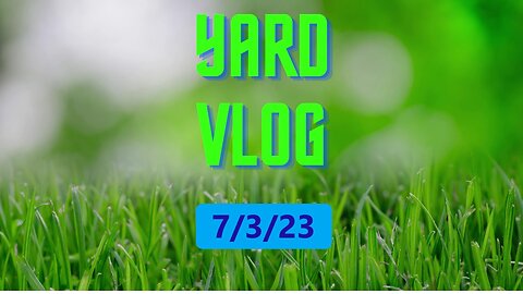 Yard Vlog 7/3/23
