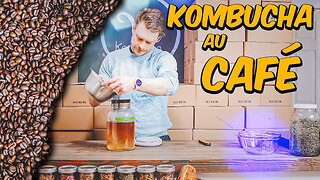 ☕️☕️☕️ Kombucha à base de CAFÉ ! ☕️☕️☕️