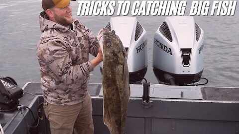 How To Catch The Big Fish