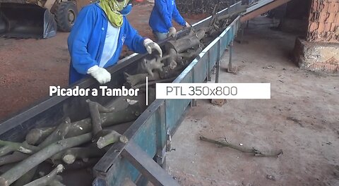 Picador a Tambor PTL 350x800