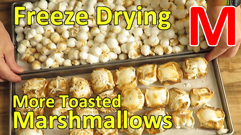Freeze Drying Toasted Marshmallows 2