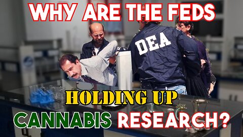 DEA Holding up Cannabis Research