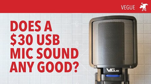 VeGue VM30 Budget USB Mic