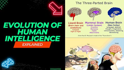 "The Triune Brain: Unveiling the Evolution of Human Intelligence"