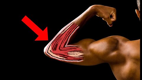 Muscles You Didn't Know You Had