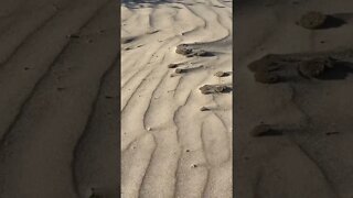 Blowing sand