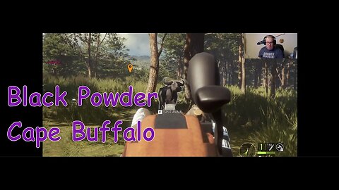 Call of The Wild Black Powder Cape Buffalo Exploit