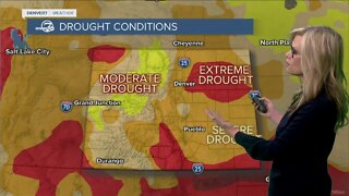 Drought & Snowpack Update