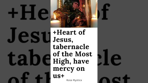 Heart of Jesus, tabernacle of the Most High, have mercy on us #SHORTS