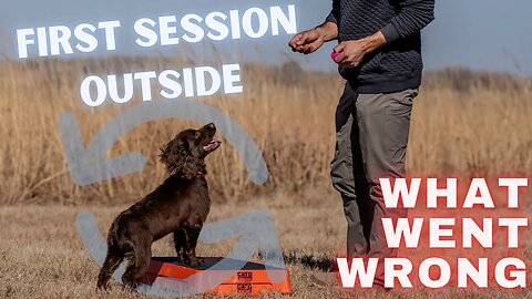 First Dog Training Session Outside - Place Training Part 1 of 3