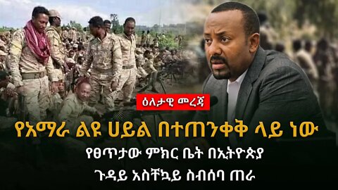 Ethiopian: የአማራ ልዩ ሀይል በተጠንቀቅ ላይ ነው፡፡የፀጥታው ምክር ቤት በኢትዮጵያ ጉዳይ አስቸኳይ ስብሰባ ጠራ