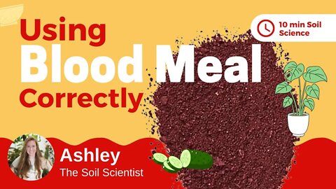 Is Blood Meal A Complete Fertilizer? Why Blood Meal Should Be Used With Houseplants & Not Gardens 🌿