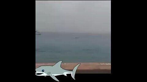 Shark caught eating a man alive