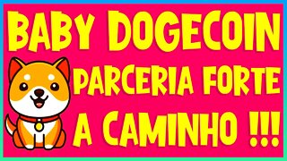 BABY DOGECOIN PARCERIA FORTE A CAMINHO !!!