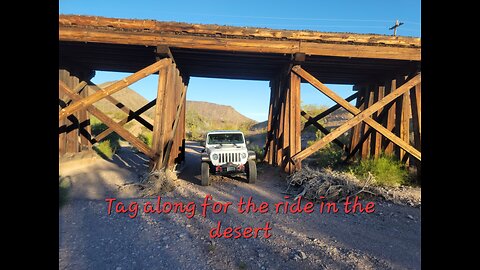 Tag along for a ride out in the desert