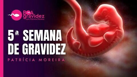 5 SEMANAS DE GRAVIDEZ - Gravidez Semana a Semana com Patrícia Moreira