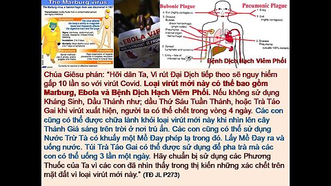 HÃY TÂM LINH HÓA BẢN THÂN, CHUẨN BỊ CHO CUỘC SOI SÁNG LƯƠNG TÂM ĐÃ GẦN KỀ! (TĐ JL.P273)