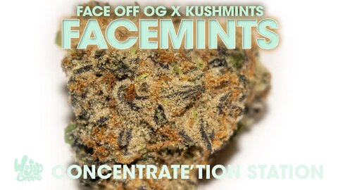 FaceMints Flower Review by Grassroots Cannabis Company