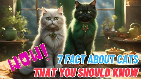 [WOW] 7 Facts About Cats That Will Make You Say "OMG!"