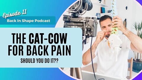 Should You Be Doing The Cat Cow For Back Pain Relief? | BISPodcast Ep. 11