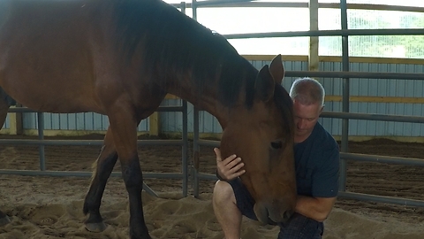 Therapy Horse Helps Police Officer Deal With His Emotions