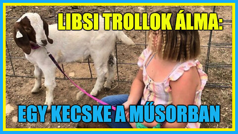 Libsi trollok álma: Egy kecske a műsorban! - Hobbista Hardcore 23-04-04/1.