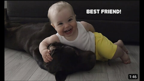 The Cutest Laugh Ever: How My Dog Brightens My Baby's Day!