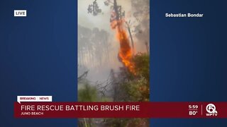 8-acre brush fire in Juno Beach causes traffic tie-ups