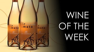 Ritual ETX Wine of the Week - Scarbolo il Ramato Pinot Grigio