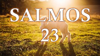 Salmos 23